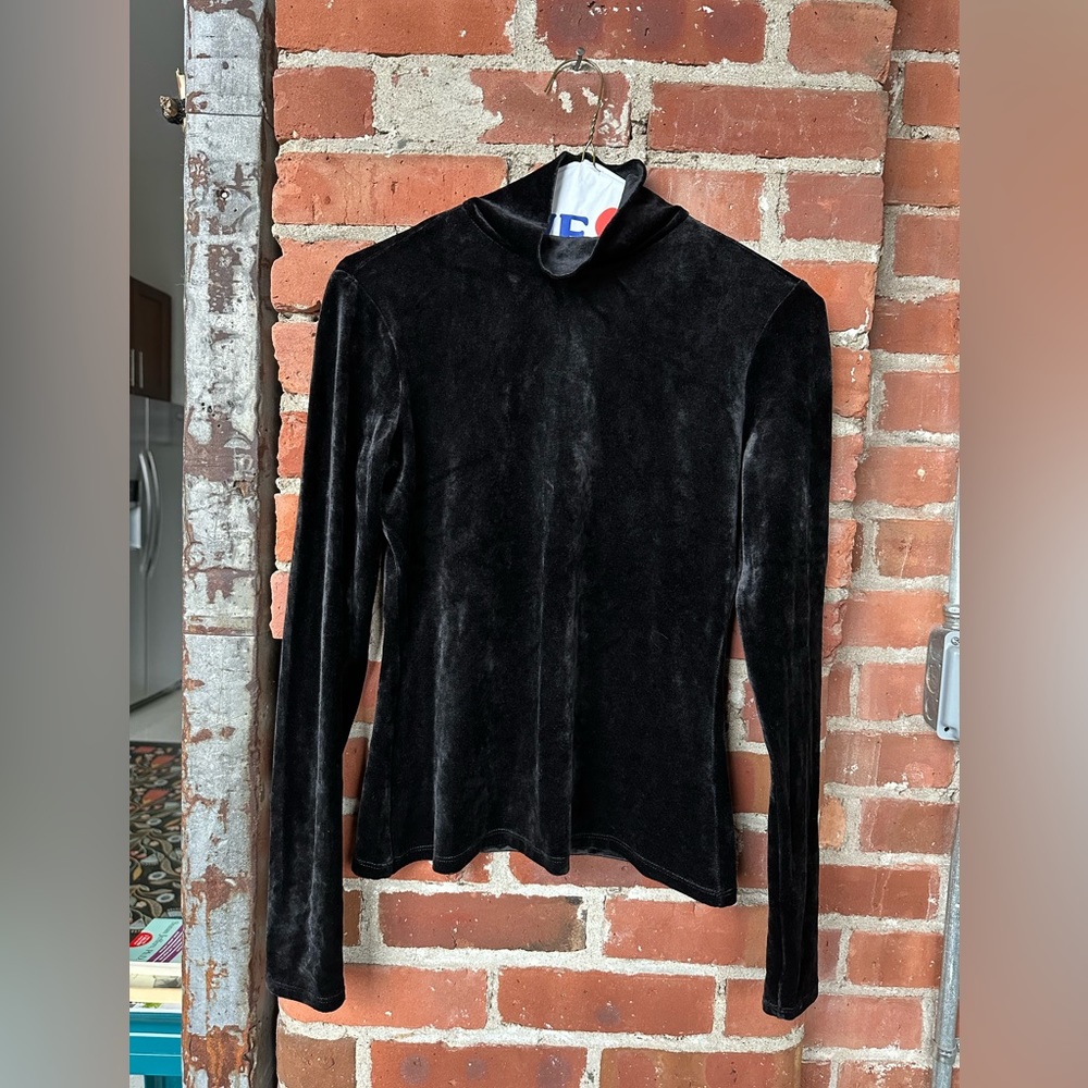 Theory Velour Turtleneck